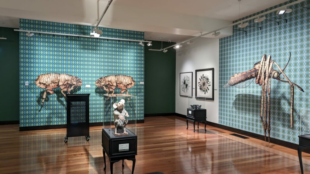 Art gallery interior with sculptures and framed artworks.