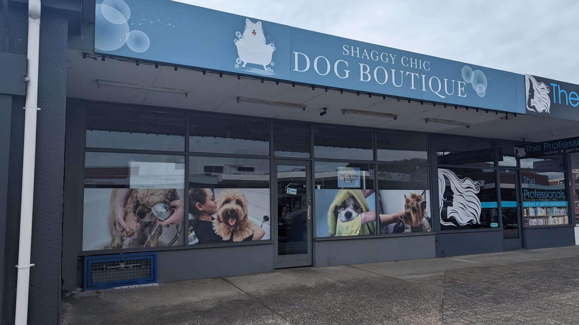 Shaggy Chic Dog Boutique Devonport City Guide